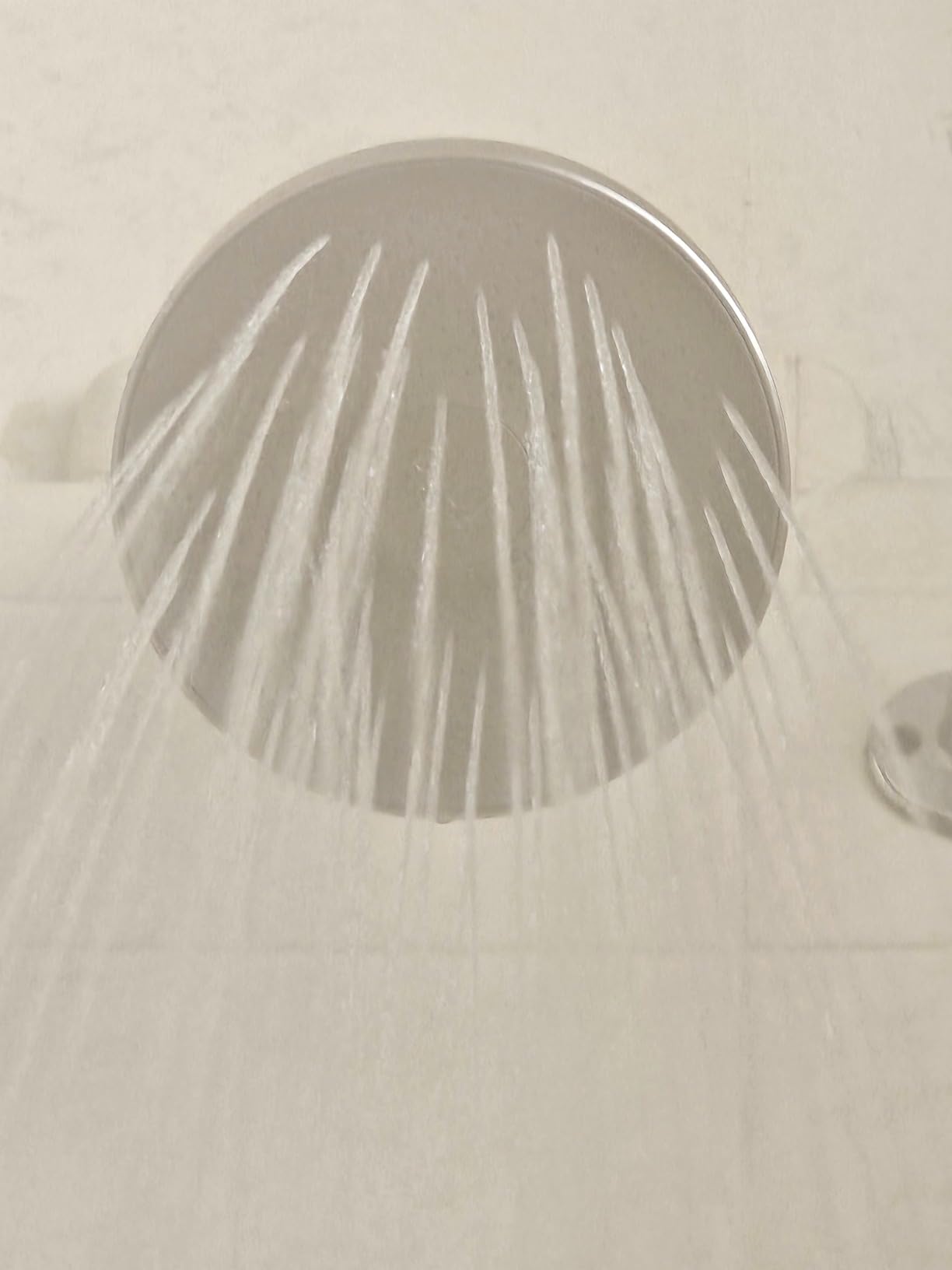 Shower spray after two weeks