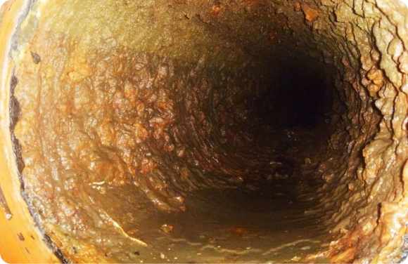 Inside an aging, rusted water pipe